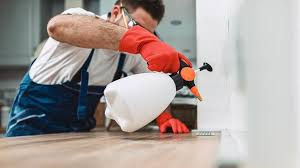 Best Pest Exclusion Services  in Chalmette, LA